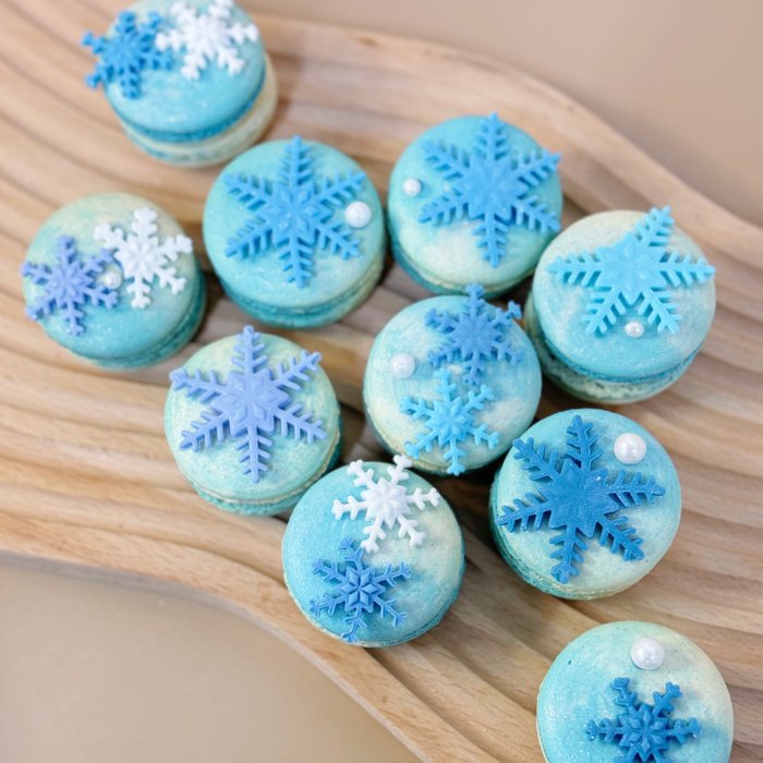 Frozen Macarons (10)