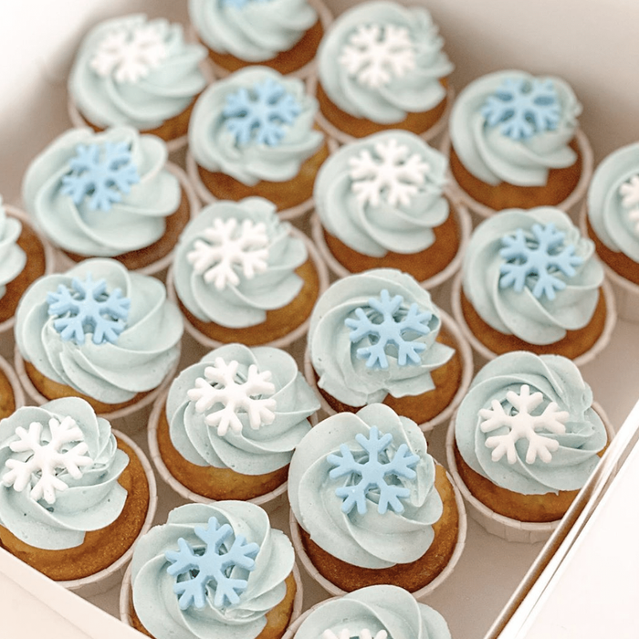 Mini Frozen Cupcakes (20)
