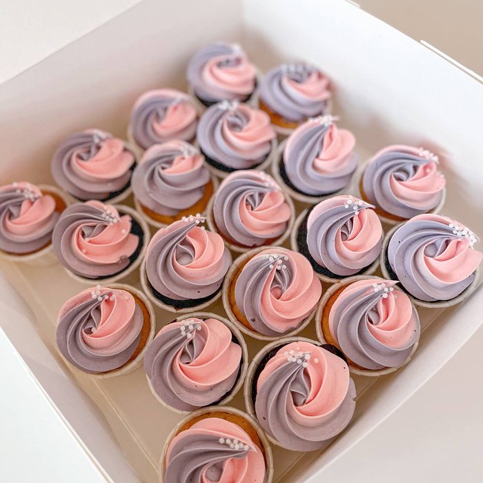 Mini Pink & Purple Cupcakes (20)